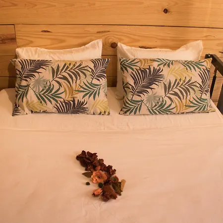 Vandrerhjem Amelia By Gaiarooms Salamanca