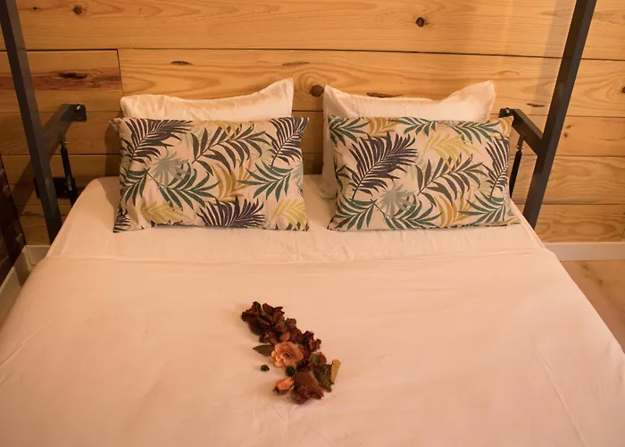 Hostal Amelia By Gaiarooms Salamanca